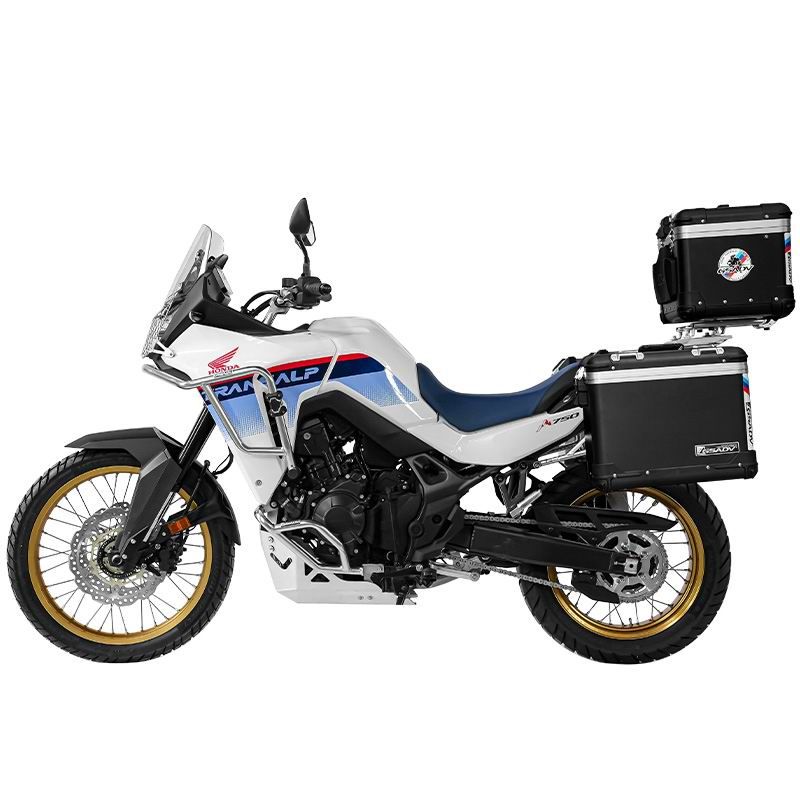 zingpro model in black